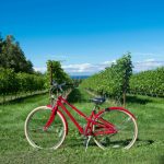 route des vins dans la Loire