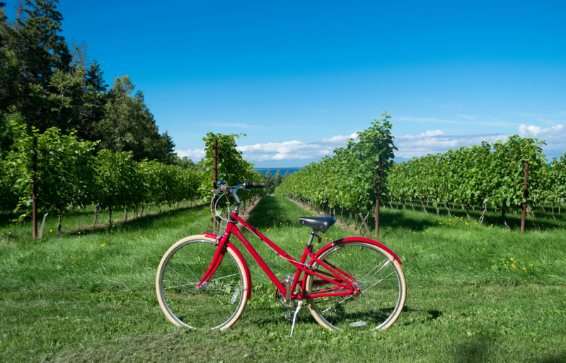 route des vins dans la Loire