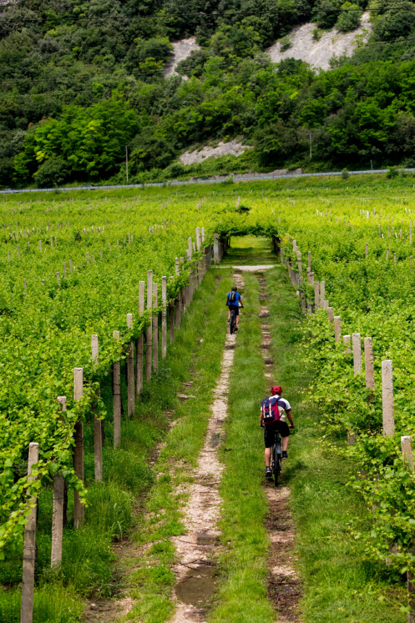 loire route vin