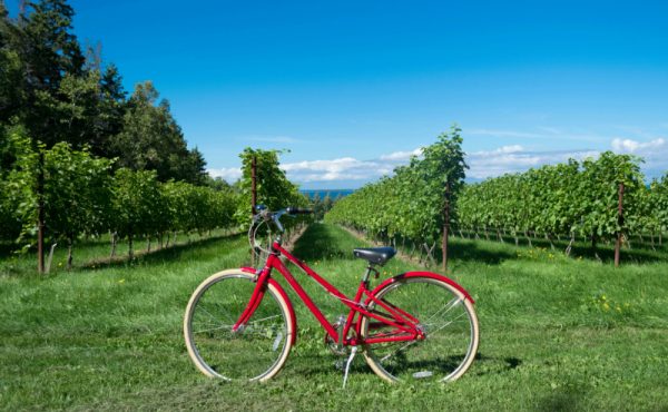 route des vins dans la Loire